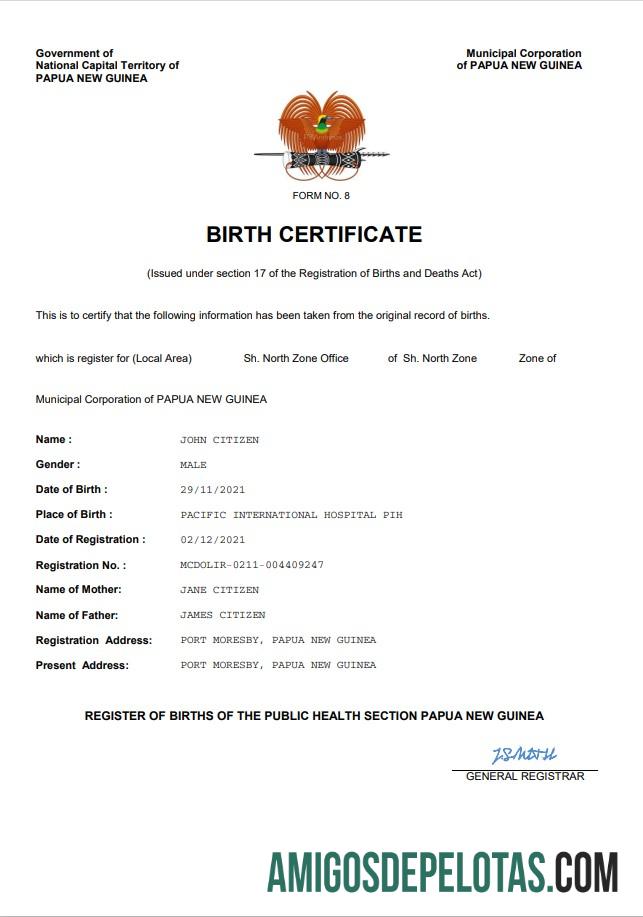 realista Papua Nova Guiné Registro Vital Certidão de Nascimento Modelo Word e PDF